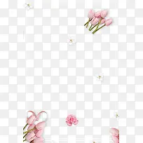 春季粉红色花朵装饰