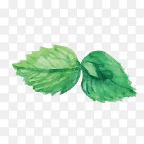 绿色水墨植物元素