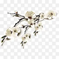 矢量梨花