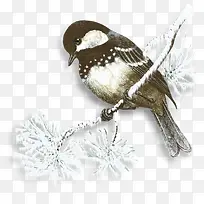 雪中的小鸟