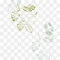 手绘装饰插图树枝树叶