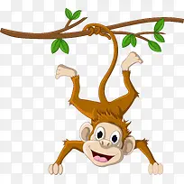 挂在树上的猴子