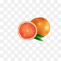 矢量黄色橙子甜橙水果图案