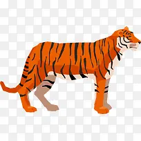 一只凶猛的老虎手绘图