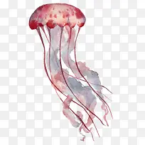 手绘粉色的水母免抠图