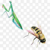 蜜蜂昆虫类手绘素材图片