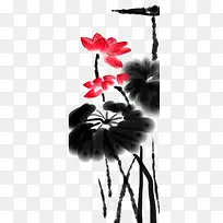 水墨中国画荷花睡莲与荷叶