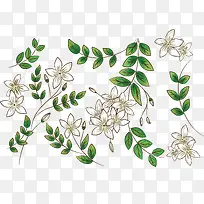 手绘浪漫茉莉花