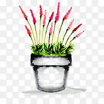 盆栽