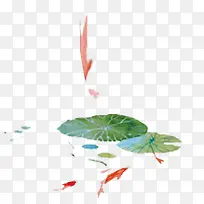 荷花素材