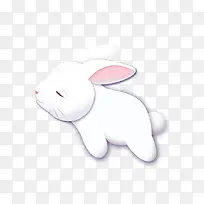 白色的小兔子