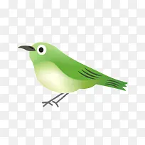 绿色的小鸟素材图片