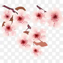 春季美丽粉色桃花