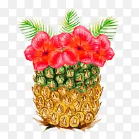 水彩绘插在菠萝里的扶桑花