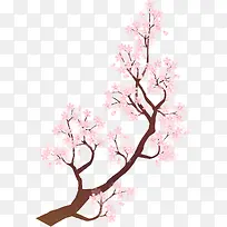 粉色中国风桦树