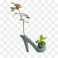 高跟鞋形状的绿叶盆栽