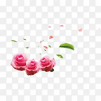 粉红色玫瑰花花瓣飞舞装饰图案