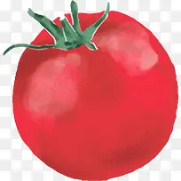 水彩手绘卡通圆形番茄