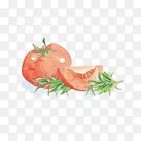 手绘水彩西红柿和迷迭香插画免抠