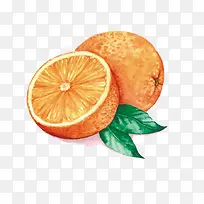 卡通手绘香橙和半个橙子