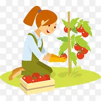 摘番茄的女孩矢量