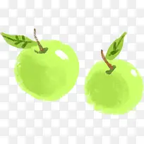 手绘水彩绿色的苹果