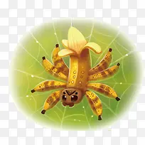 矢量香蕉蜘蛛