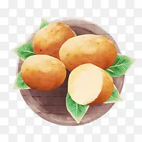 新鲜土豆水彩插画