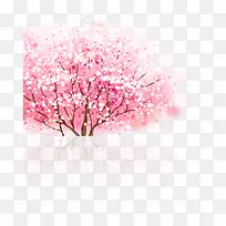 清新唯美樱花树