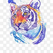 插画