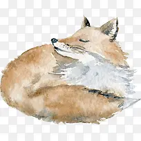 手绘水彩小狐狸免抠图
