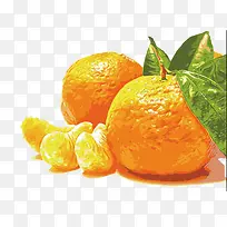 手绘橘子元素