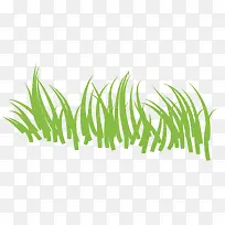 绿草绿色生长小草