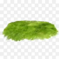 绿色小草