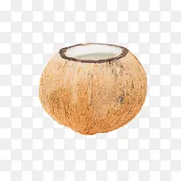 手绘椰子