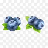 实物蓝色带叶子野生蓝莓