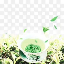 绿色创意春茶新品海报背景