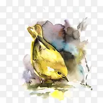 黄色麻雀