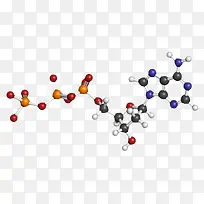 红蓝色脱氧腺苷三磷酸分子形状素