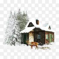 被雪覆盖的森林和房子