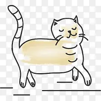 行走的猫咪