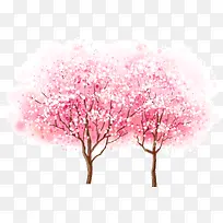 漂亮的樱花树