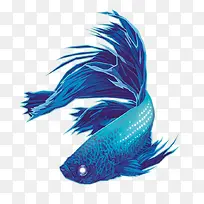 精美蓝色金鱼图案