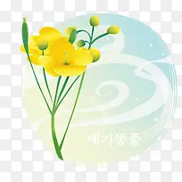 黄色新鲜的花朵装饰