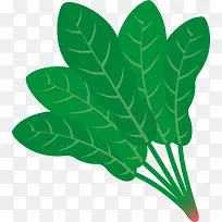 卡通手绘蔬菜装饰海报设计菠菜