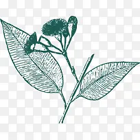 开花的水彩茶叶