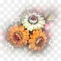 花卉