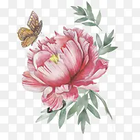 手绘彩铅粉色花朵花瓣