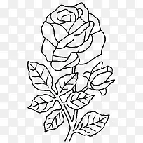 黑白盛开的玫瑰花简笔画