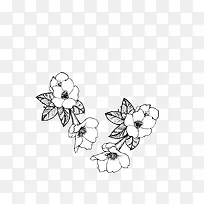 手绘黑白花卉花朵